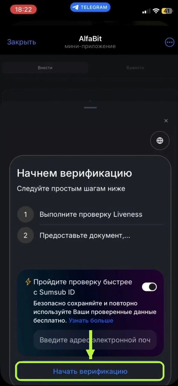 Экран начала верификации AlfaBit через Sumsub с полем для email